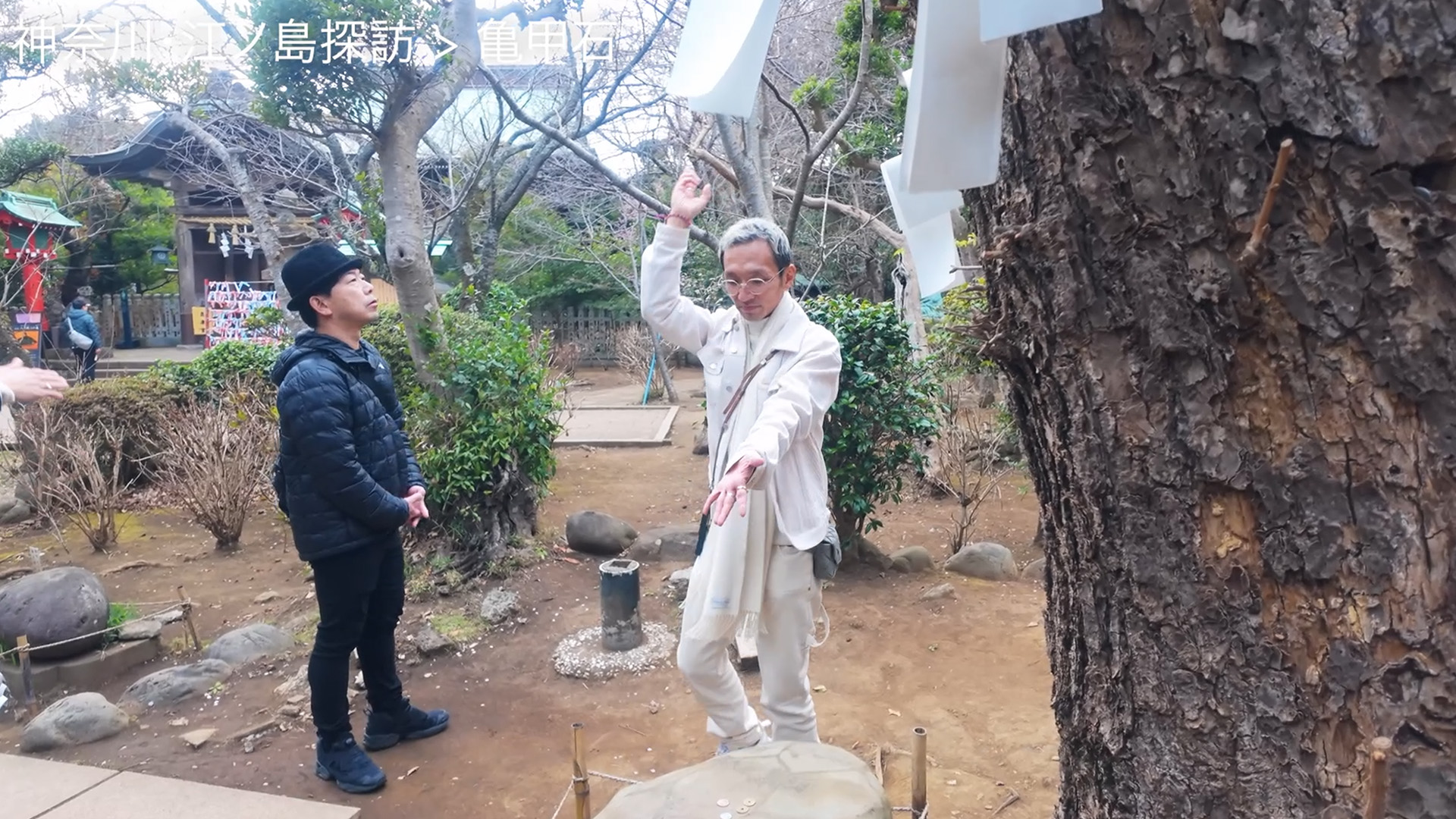 動画コンテンツ（仮画像）